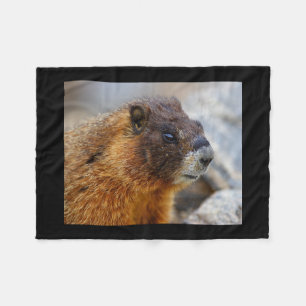 marmot fleecefilt