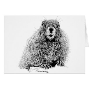 Marmot Hälsningskort