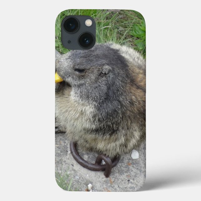 Marmot iPad-ärenden (Baksida)
