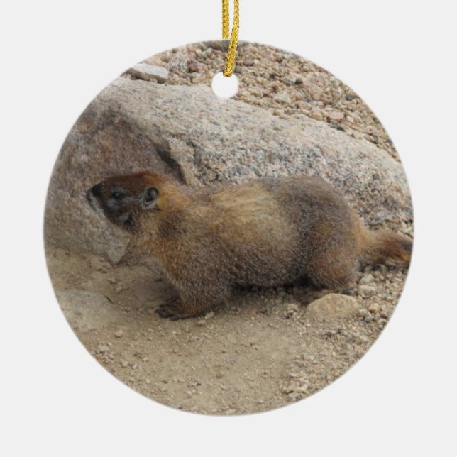 Marmot Julgransprydnad Keramik (Framsidan)