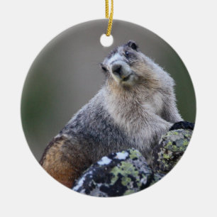 marmot julgransprydnad keramik