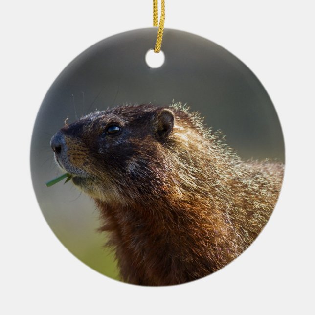 Marmot Julgransprydnad Keramik (Framsidan)