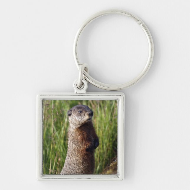 Marmot Keychain Fyrkantig Silverfärgad Nyckelring (Framsidan)