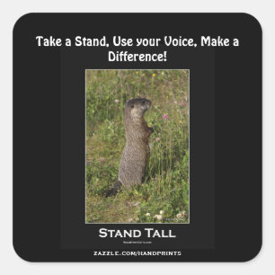 Marmot Motivational Sticker Fyrkantigt Klistermärke