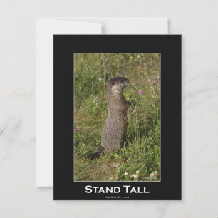 Marmot Motiveringskort Inbjudningar