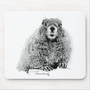 Marmot Musmatta