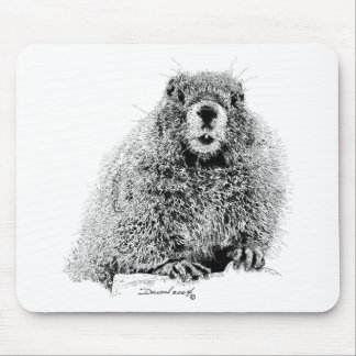 Marmot Musmatta
