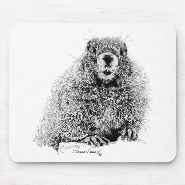 Marmot Musmatta (Framsidan)