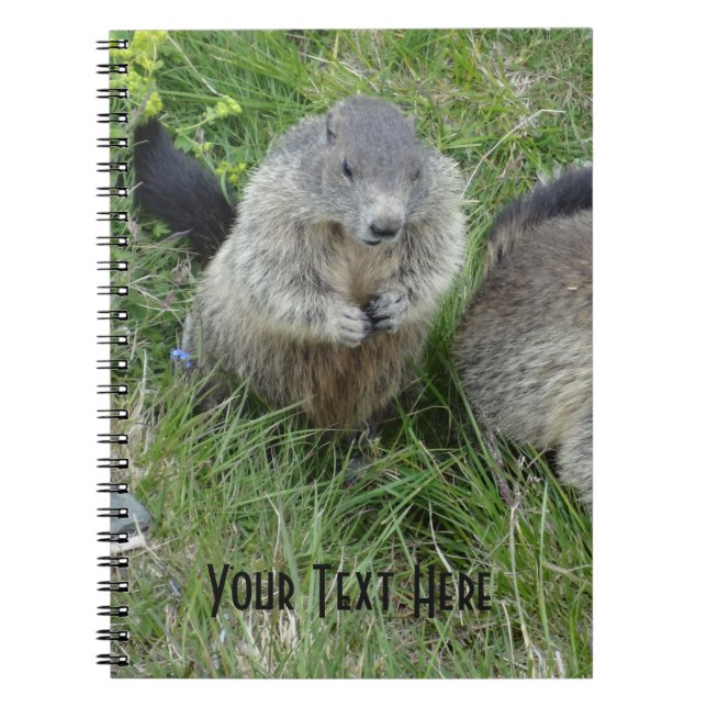 Marmot notebook anteckningsbok (Framsidan)