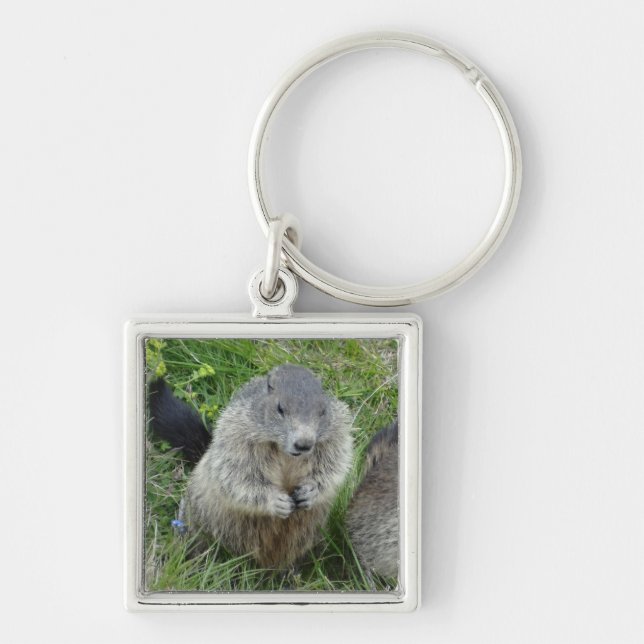 Marmot nyckelring (Framsidan)