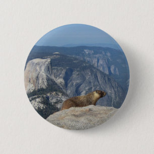 Marmot överbliven halv rumma från Clouds Rest - Du Knapp
