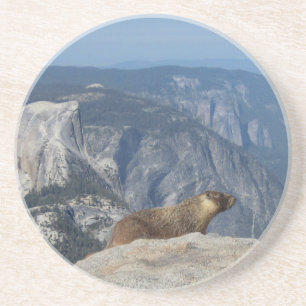 Marmot överbliven halv rumma från Clouds Rest - Du Underlägg Sandsten