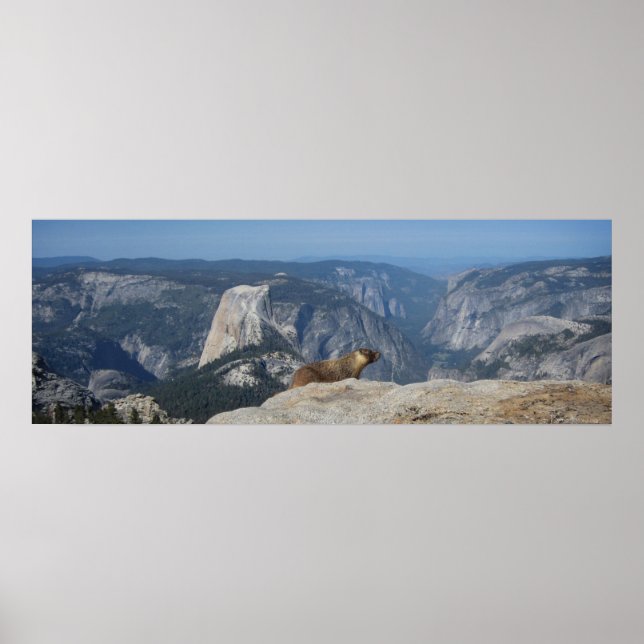 Marmot Overlook halv Dome - Yosemite Poster (Framsidan)
