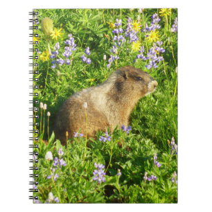 Marmot på Mount Rainier Wildblommor Anteckningsbok