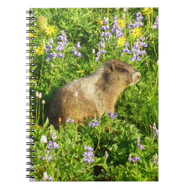 Marmot på Mount Rainier Wildblommor Anteckningsbok (Framsidan)