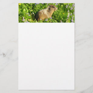 Marmot på Mount Rainier Wildblommor Brevpapper