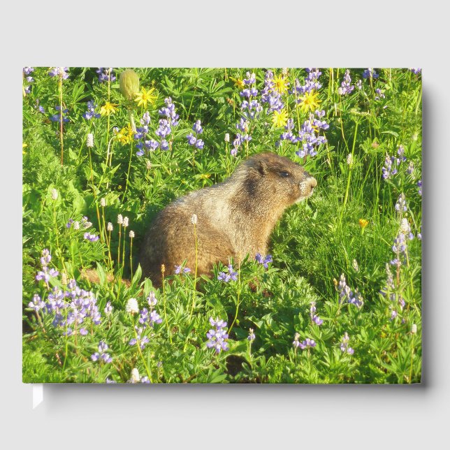 Marmot på Mount Rainier Wildblommor Gästböcker (Framsida)