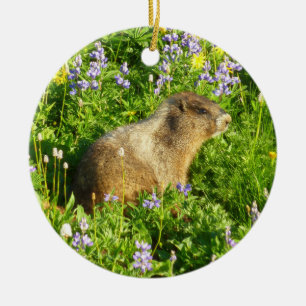 Marmot på Mount Rainier Wildblommor Julgransprydnad Keramik