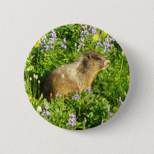 Marmot på Mount Rainier Wildblommor Knapp