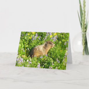 Marmot på Mount Rainier Wildblommor Kort