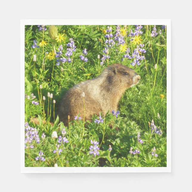 Marmot på Mount Rainier Wildblommor Pappersservett (Framsidan)