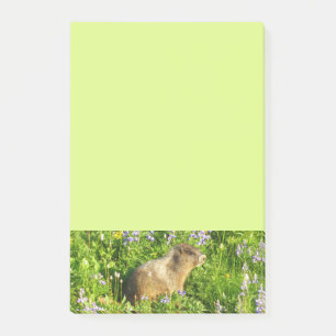 Marmot på Mount Rainier Wildblommor Post-it Block