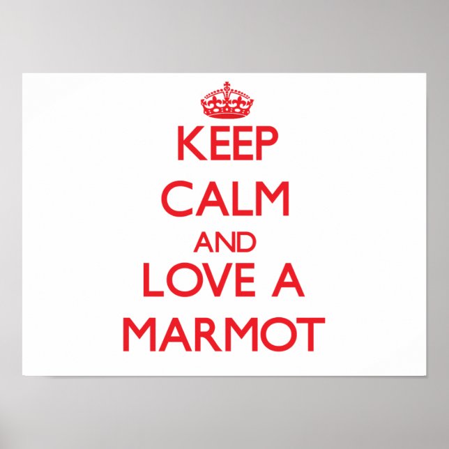 Marmot Poster (Framsidan)