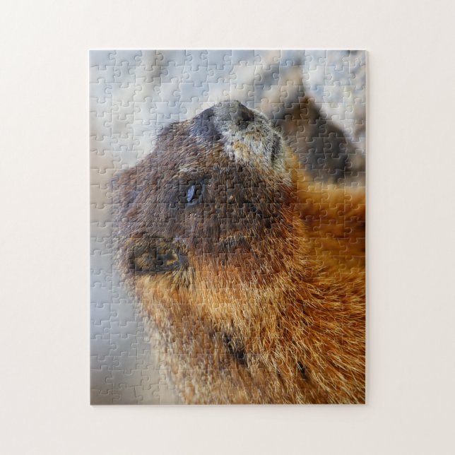 marmot pussel (Vertikal)