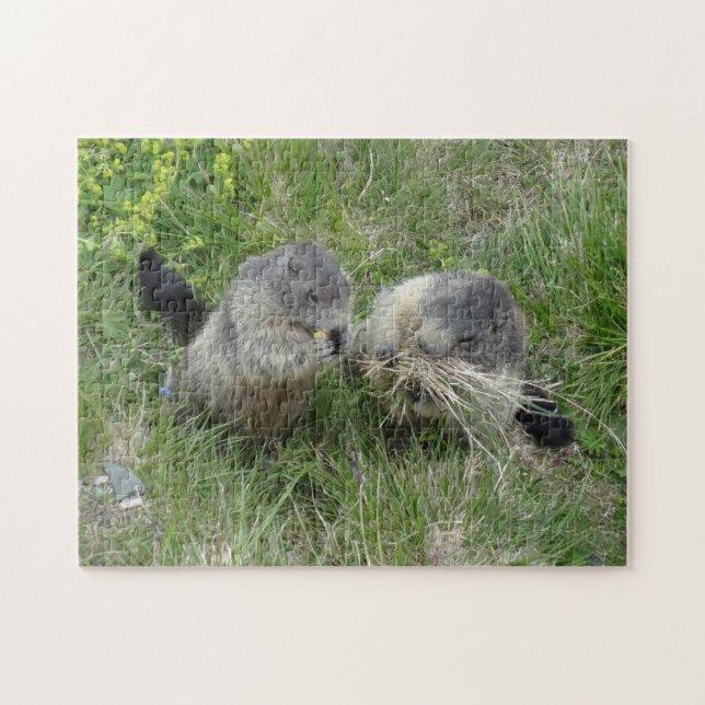 Marmot puzzle pussel (Horisontell)