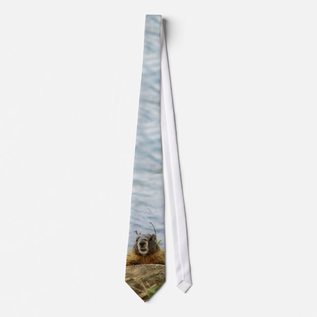 Marmot säger Hej Slips (Framsida)