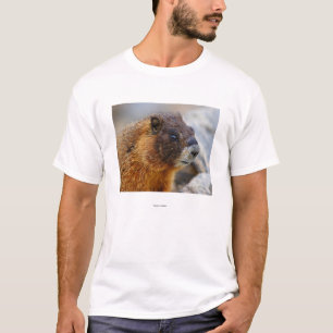 Marmot T-shirt