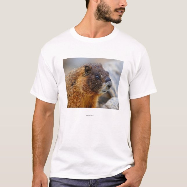 Marmot T-shirt (Framsida)