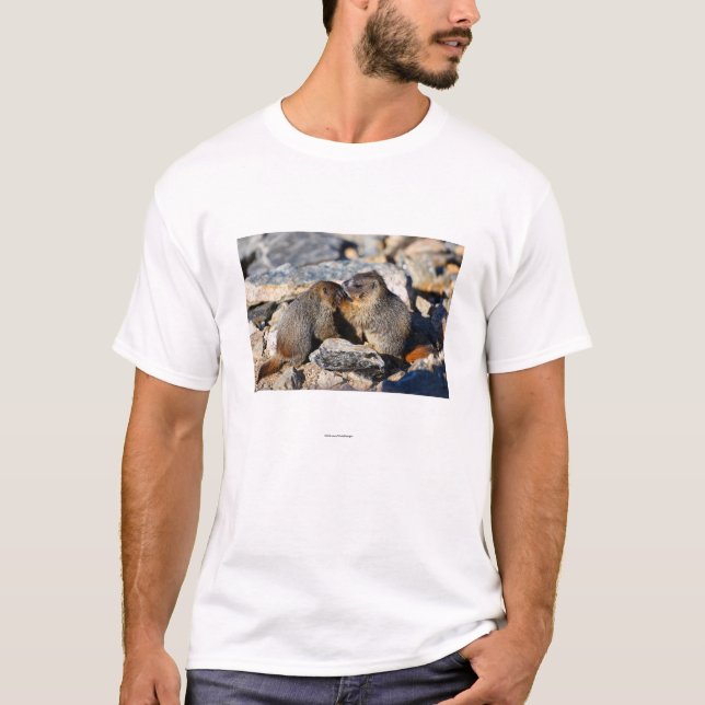 Marmot Tee Shirt (Framsida)