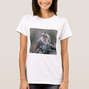 marmot tröja