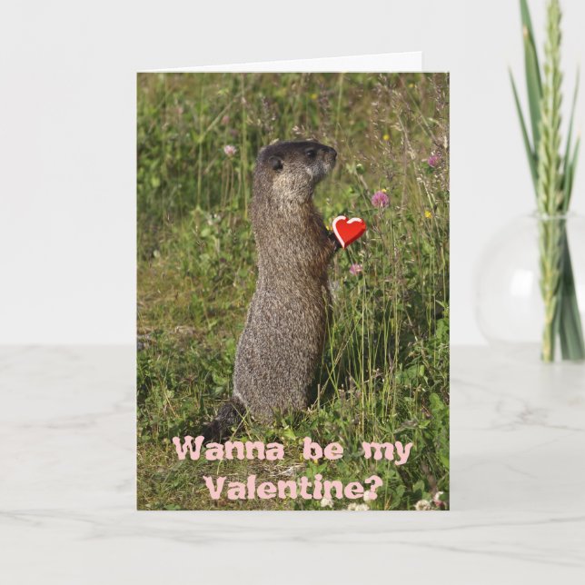 Marmot Valentines kort (Framsida)