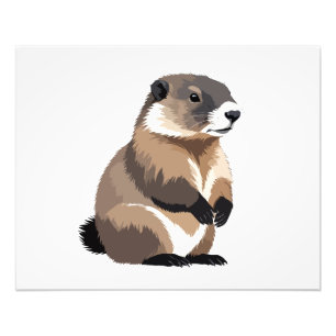 Marmot Vector Graphic Art Porträtt Animal Spirit Fototryck