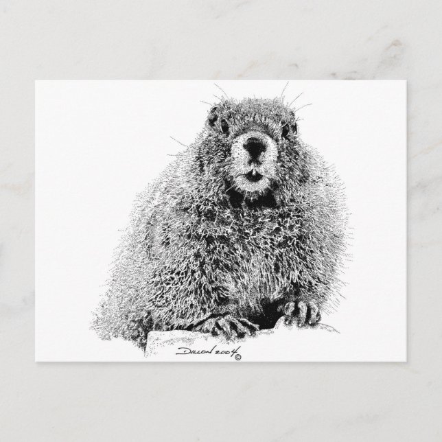 Marmot Vykort (Framsida)