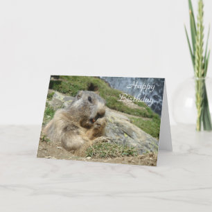 Marmotfödelsedagkort Kort