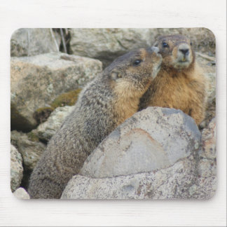 Marmotkärlek Musmatta