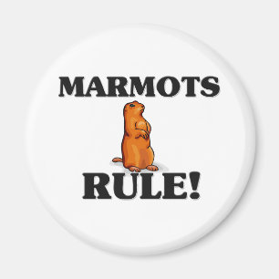 MARMOTS härskar! Magnet