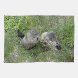 Marmots kökshandduk
