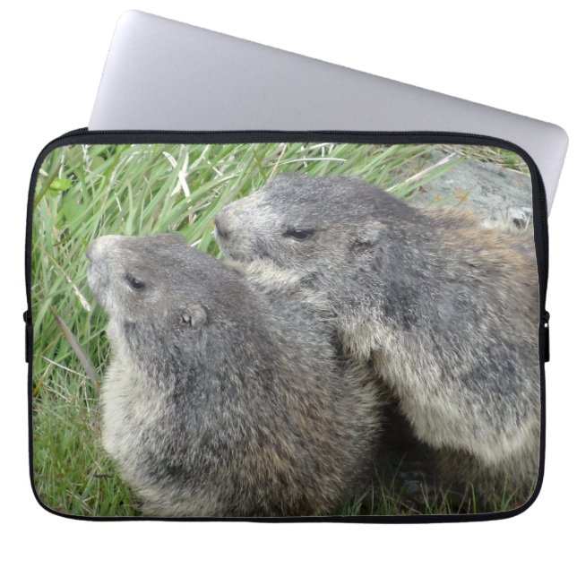 Marmots laptop sleeve (Framsidan)