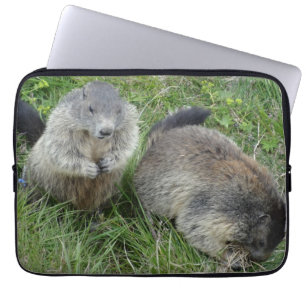 Marmots laptop sleeve