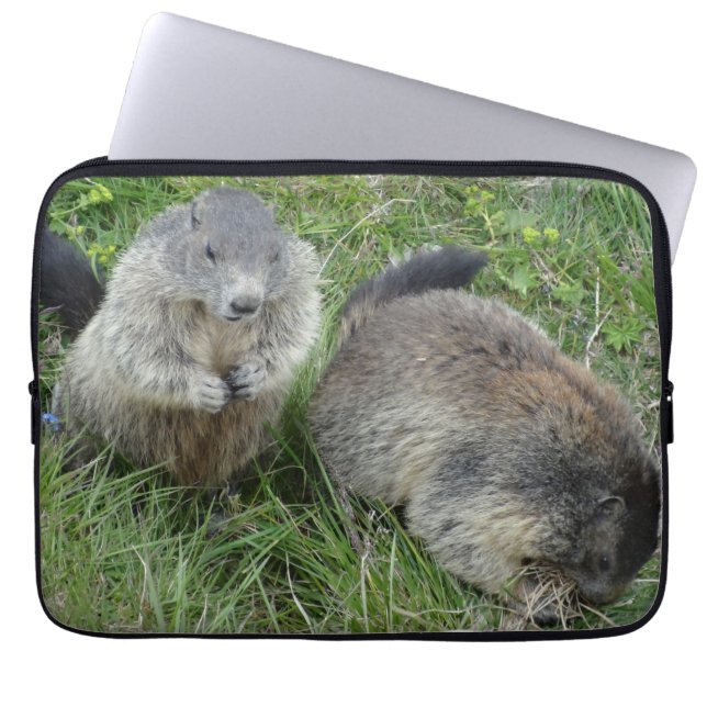 Marmots laptop sleeve (Framsidan)