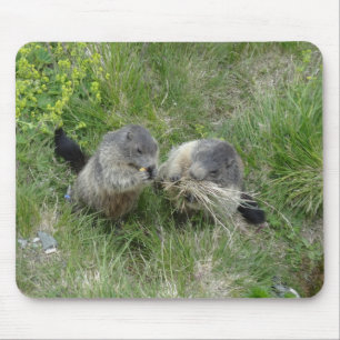 Marmots mousepad musmatta