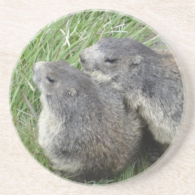 Marmots underlägg sandsten (Framsidan)