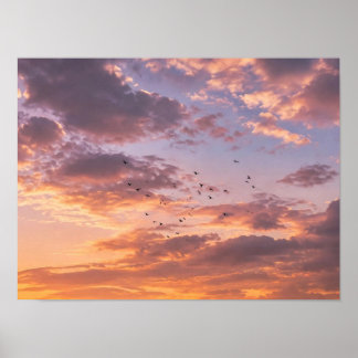 Marockansk olivlundssolnedgång - Rosa gyllene moln Poster