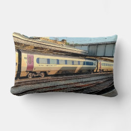 Maron och beige tåg lumbarkudde