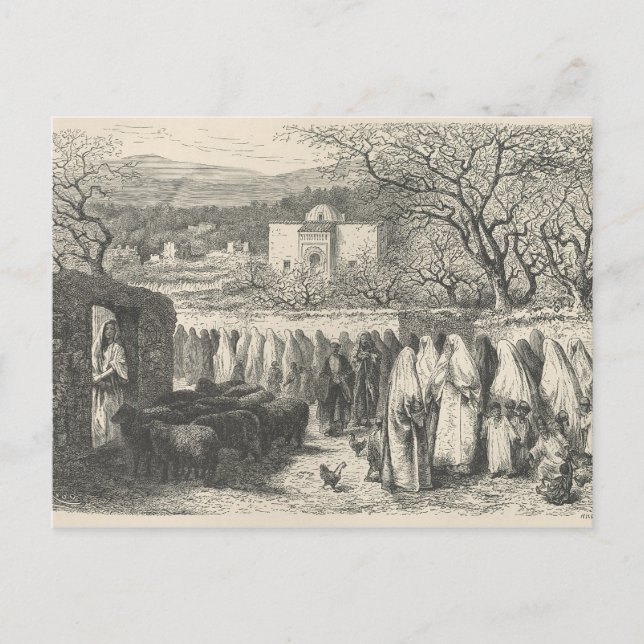 Maron och Procession: Tlemcen Vykort (Framsida)