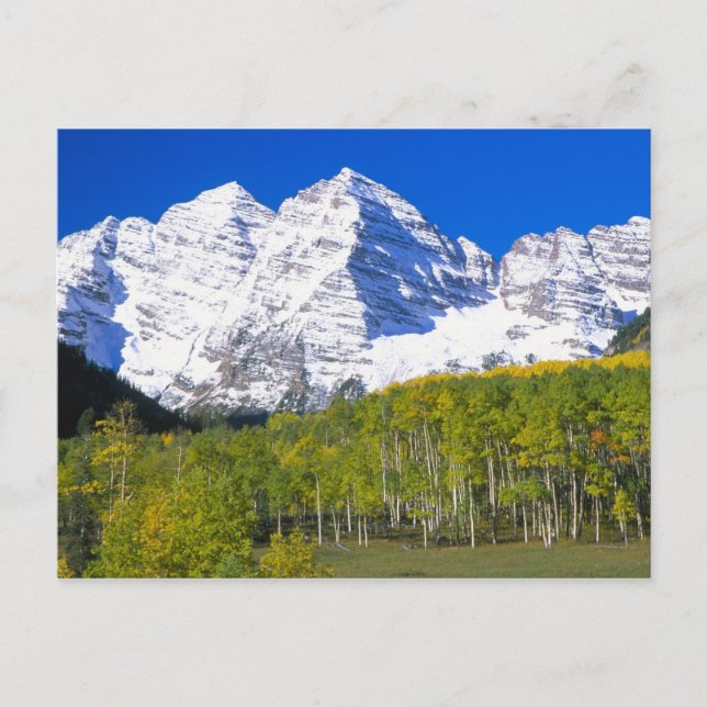 Maroon Bells med höst Aspen skog. Vykort (Framsida)